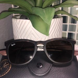 Ray Ban 4221 Tortoise Brown Sunglasses